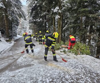 {{brizy_dc_image_alt entityId=